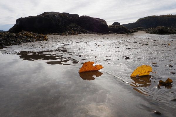 École_Créativité_FGagnon_AnseStÉtienne École_Créativité_FGagnon_AnseStÉtienne
