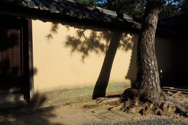 École_Créativité_FGagnon_Série_Arbre2