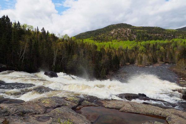 OLYMPUS DIGITAL CAMERA OLYMPUS DIGITAL CAMERA