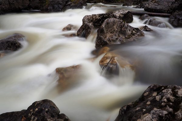 École_Créativité_FGagnon_Rivière_printemps_Fluide