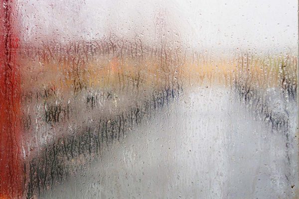 École_créativité_ FGagnon_Feu_vert1