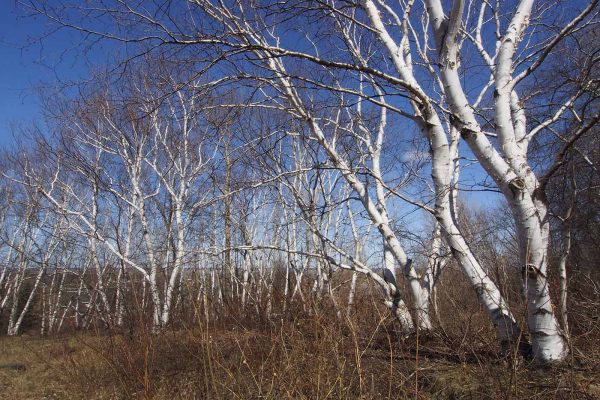 École_créativité_ FGagnon_Kilomètre_photo_2