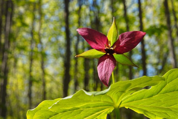 École_créativité_ FGagnon_Kilomètre_photo_5