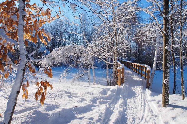 École_Créativité_FGagnon_ Parc_des_étangs