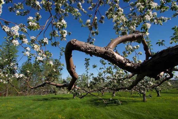 École_Créativité_F Gagnon 3 printemps HD