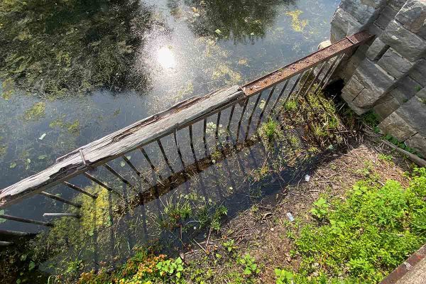 École_Créativité_F Gagnon MTL fleuve BD