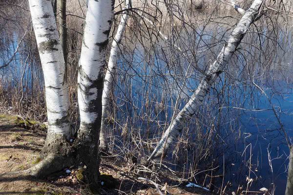 École_Créativité_F Gagnon MTL fleuve HG