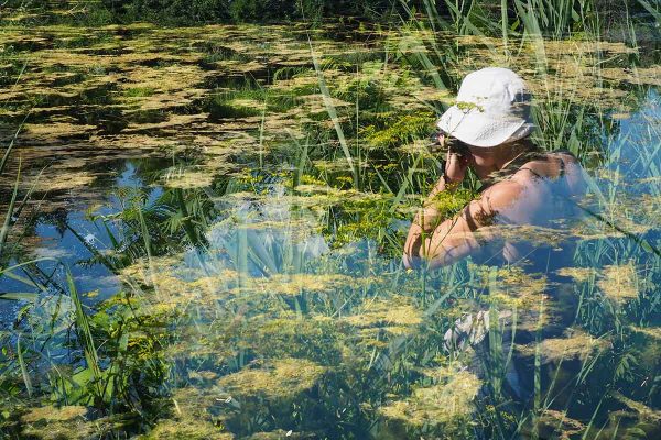 École_Créativité_FGagnon_MultiEX_BD