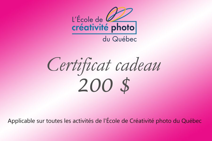 Certificat cadeau 200$