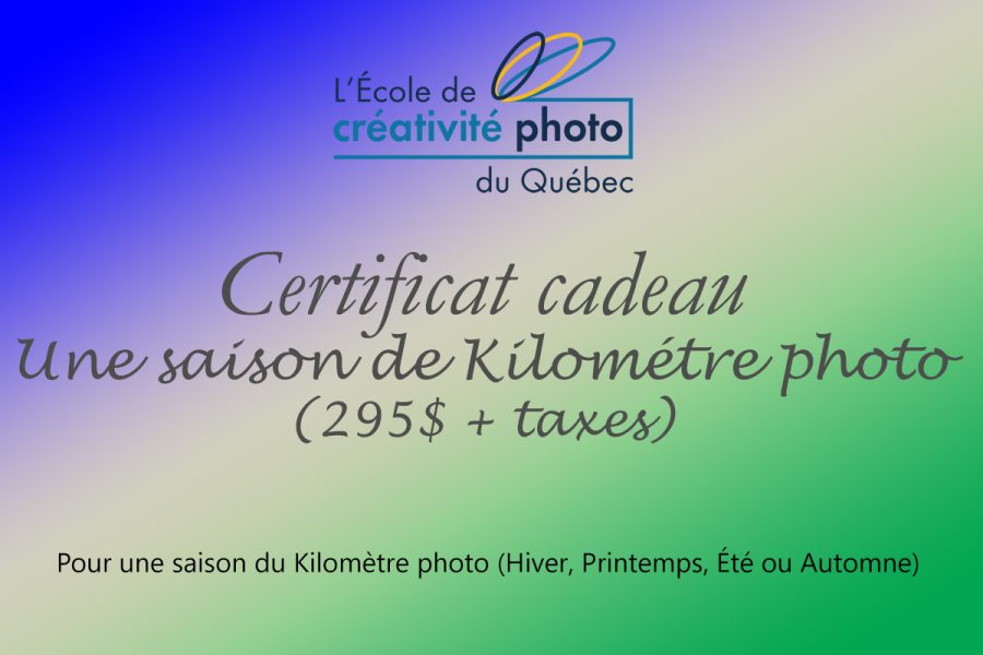 Certificat cadeau KM photo