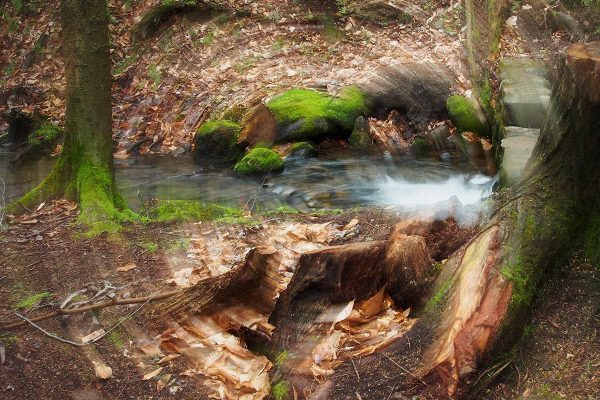 École_Créativité_FGagnon_MIAP_HG