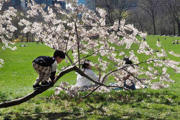 École-Créativité-FGagnon-photoderue-GH École-Créativité-FGagnon-photoderue-GH