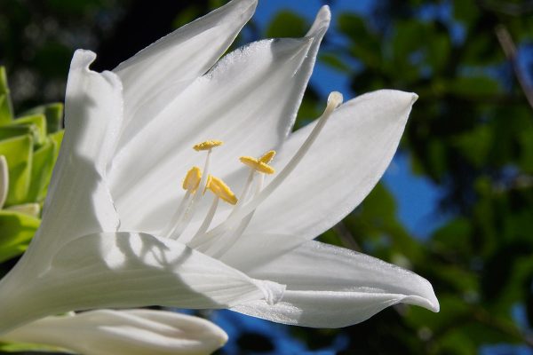 École-Créativité-FGagnon-Kilomètre-été-HG