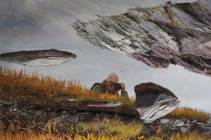 École_Créativité_FGagnon_concours_1