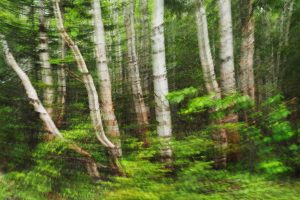 École-Créativité-FGagnon-concours-3