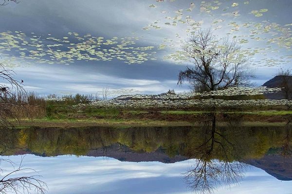 École-Créativité-FGagnon-reflet-Vermont-DH