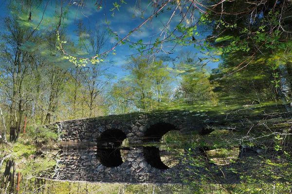 École-Créativité-FGagnon-reflets-impressionnistes-DB