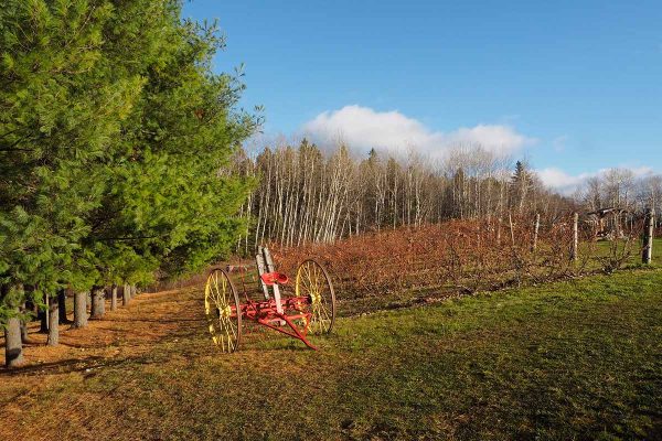École-Créativité-FGagnon-Fjord-GB