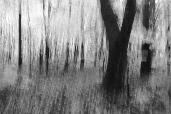 École-Créativité-FGagnon-N&B-GB