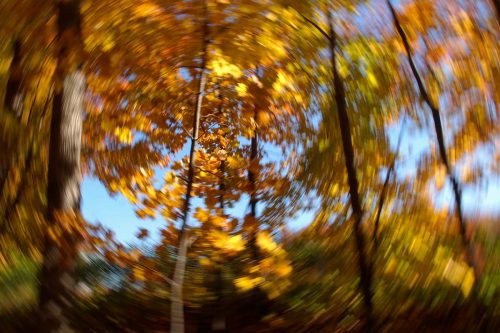 École-créativité-FGagnon-club-impres-DB