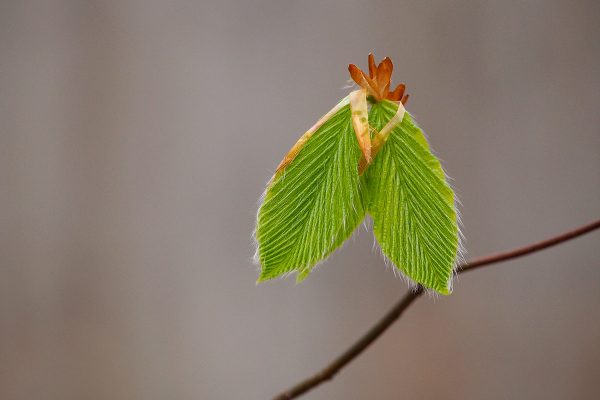 École-Créativité-FGagnon-minimaliste-DB.jpg École-Créativité-FGagnon-minimaliste-DB.jpg
