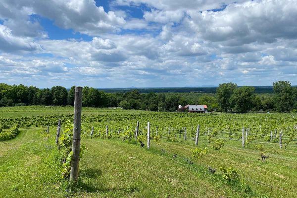 École-Créativité-FGagnon-Kilomètre-été-S École-Créativité-FGagnon-Kilomètre-été-S