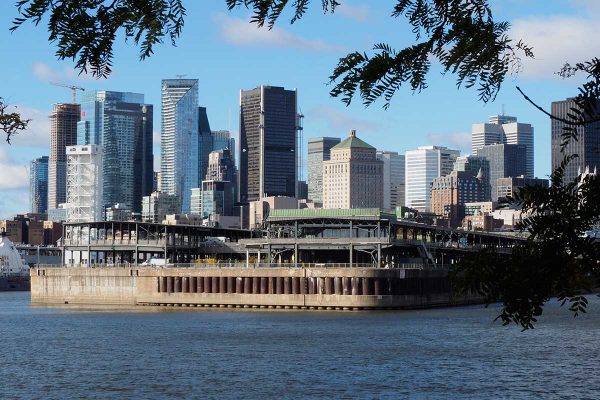 OLYMPUS DIGITAL CAMERA OLYMPUS DIGITAL CAMERA