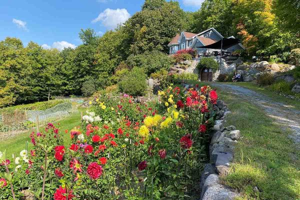 École-Créativité-photo-FGagnon-Automne25-DB École-Créativité-photo-FGagnon-Automne25-DB