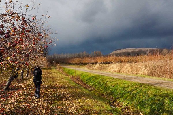 École-Créativité-photo-FGagnon-Automne25-GB École-Créativité-photo-FGagnon-Automne25-GB