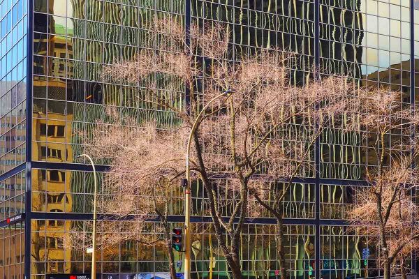 École-Créativité-FGagnon-Klm-Mtl-été-S