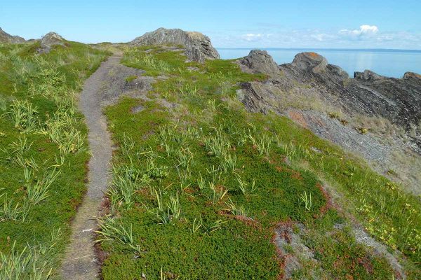 École-Créativité-FGagnon-juin-ile-verte-GB