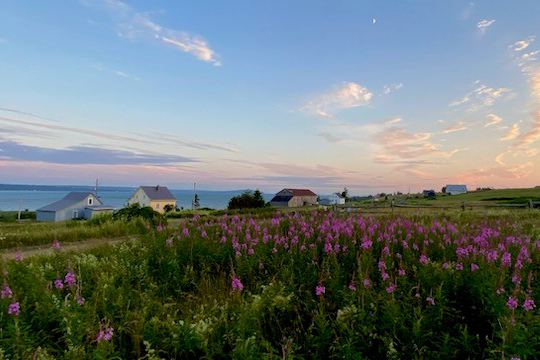École-Créativité-FGagnon-juin-ile-verte-HG