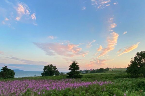 École-Créativité-FGagnon-ile-verte-DB École-Créativité-FGagnon-ile-verte-DB