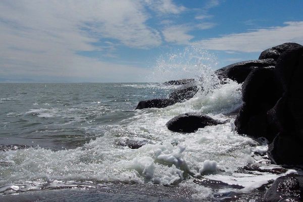 École-Créativité-FGagnon-juin-ile-verte-BD