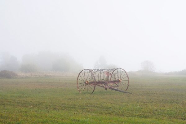 OLYMPUS DIGITAL CAMERA OLYMPUS DIGITAL CAMERA