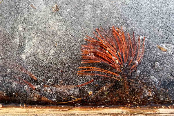 École-Créativité-FGagnon-inédit-11.jpg École-Créativité-FGagnon-inédit-11.jpg