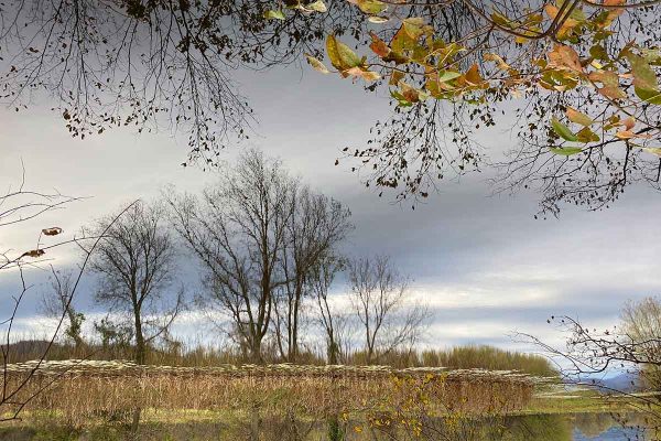 Ecole-Creativite-FGagnon-cle-impr-reflet-lac