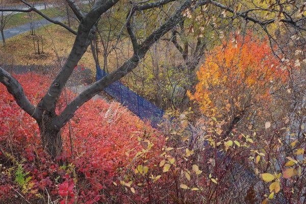 Ecole-Creativite-FGagnon-KmPhoto-Automne-Couleurs-Novembre Ecole-Creativite-FGagnon-KmPhoto-Automne-Couleurs-Novembre