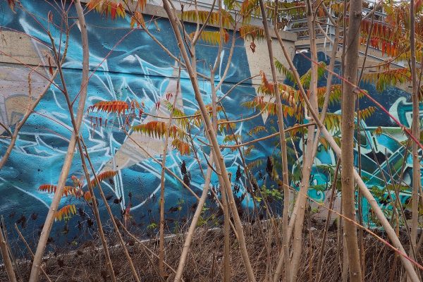 Ecole-Creativite-FGagnon-KmPhoto-Automne-Murale Ecole-Creativite-FGagnon-KmPhoto-Automne-Murale